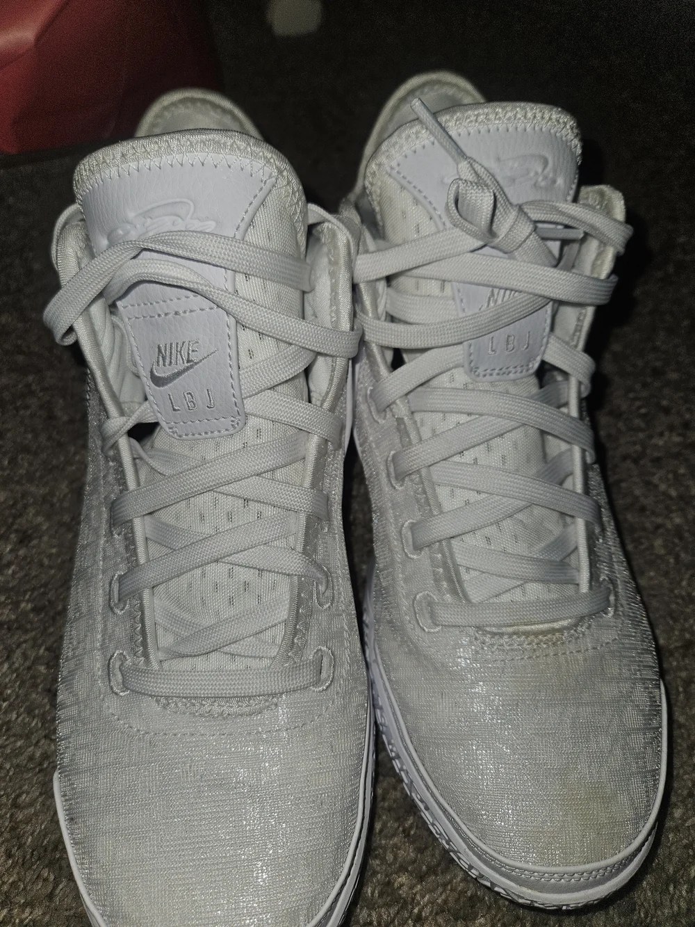 Nike LeBron NXXT Gen Basketball Shoes – White / Metallic Silver (Size US 9)